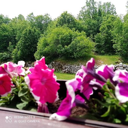Vila Vikendica Njegusi Cetinje Exteriér fotografie