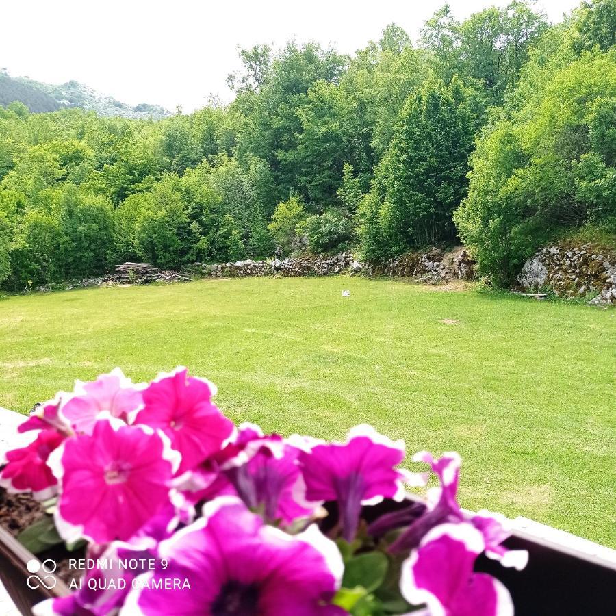 Vila Vikendica Njegusi Cetinje Exteriér fotografie