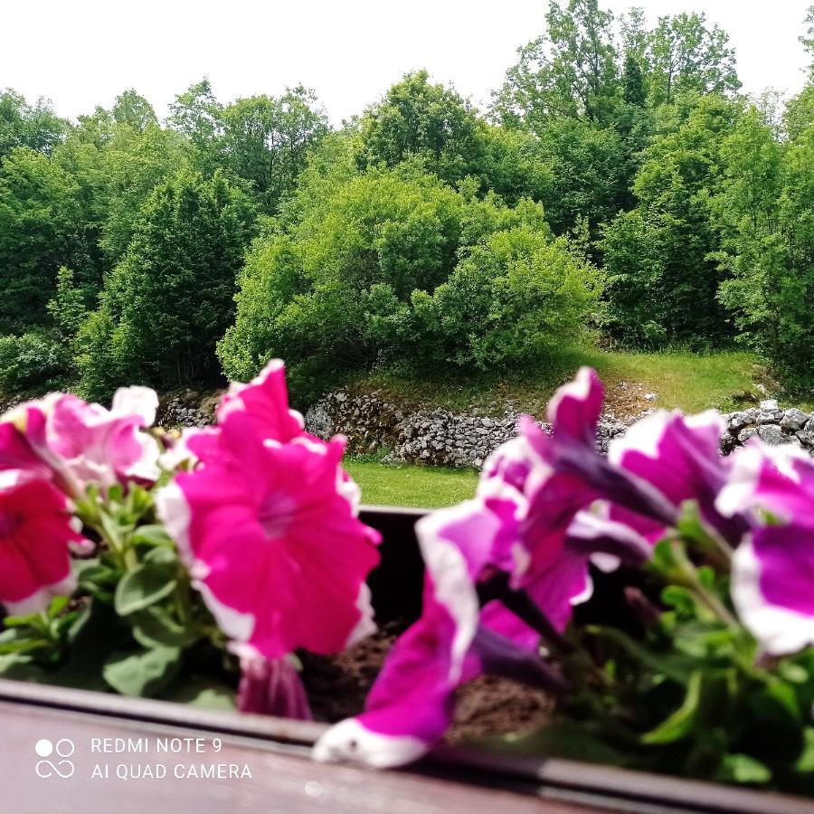 Vila Vikendica Njegusi Cetinje Exteriér fotografie